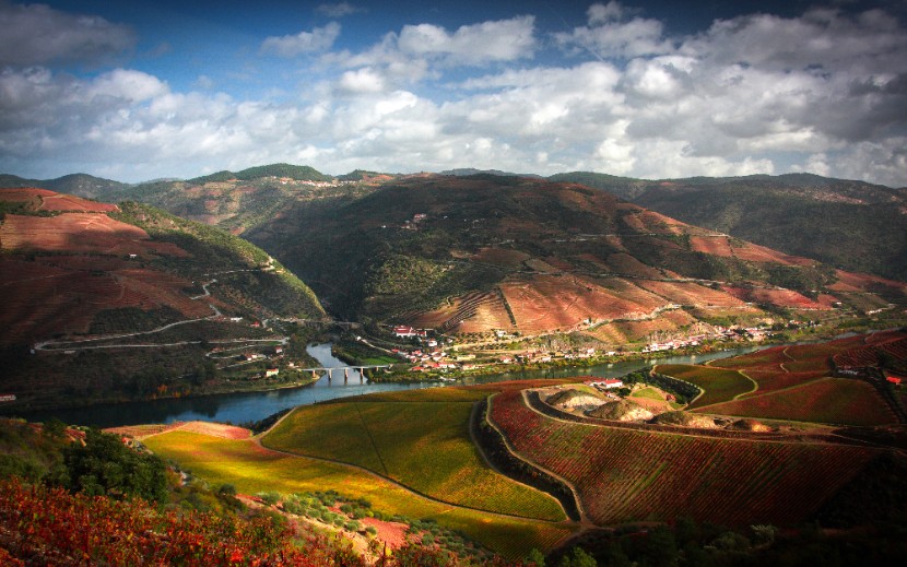 Photo of Douro by Rui Pires